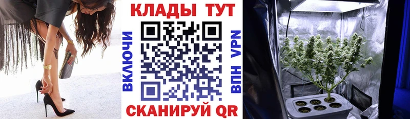 Купить наркотики цена Сосновый Бор Псилоцибиновые грибы Меф мяу мяу
