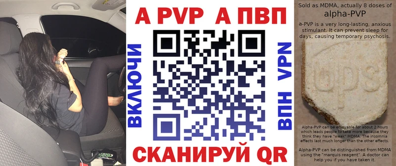 Alfa_PVP СК КРИС Сосновый Бор