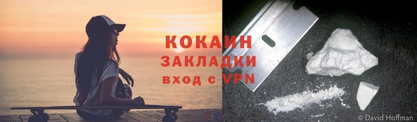 гидра Мегион