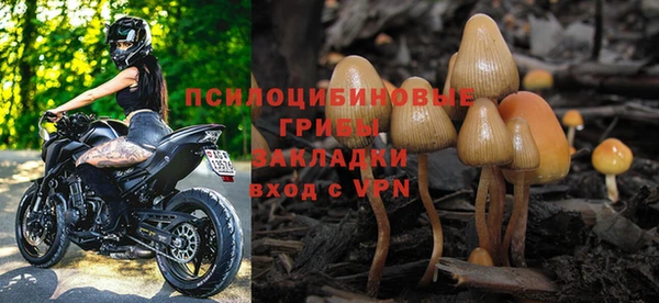гидра Мегион