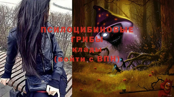 гидра Мегион