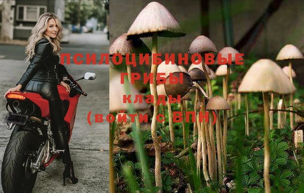твердый Медвежьегорск