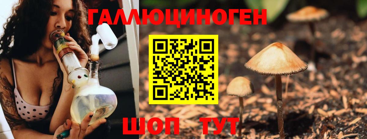 Сосновый Бор  что такое наркотик  Галлюциногенные грибы MAGIC MUSHROOMS  Вход с VPN  Псилоцибиновые грибы Psilocybe 